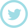Condividi su Twitter